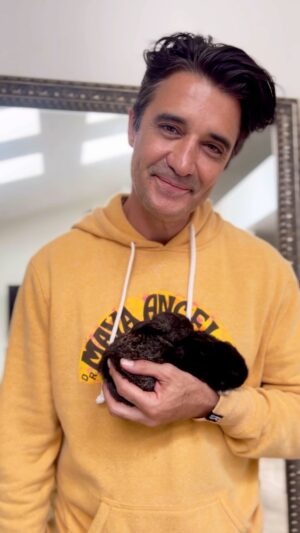 Gilles Marini Instagram - What a day. Lots of fun with the little guys in the yard. They ate so much grass 🐰 🌱 
Super healthy and very sweet. They love to cuttle. I kept one in my hoodie and he fell asleep.❤️
Truly an amazing time! 🐰❤️
The Marini’s