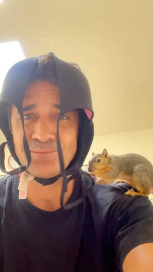 Gilles Marini Instagram - What can I say? It’s true… I love my life.🤪
#squirrel #wildlife #loveall #secondchance #bra #bennyben #fyp #repost 
“Sometimes big trees grow out of acorns – I think I heard that from a squirrel.”