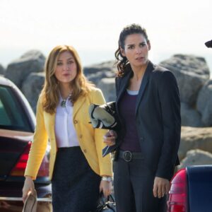 Gillian Flynn Instagram - Let's start a week celebrating things that give me bursts of joy, starting with RIZZOLI & ISLES! I goddam love this show. It's utterly delightful, plus I like to watch pretty people solve mysteries. And I Heart @angieharmon in anything.

Thank you to show creator @JanetTamaro!