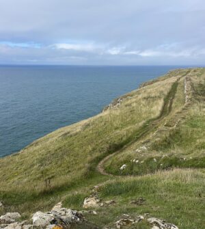 Ginny Buckley Instagram - Wild Cornish walks with a girls best friend!

#ziggystardust #kernowfornia #kernowlife #dogsofinstagram #cockerspanielworld 

.
.
.
.
#cornwall #cornwallcoast #cornwalllife #cornwallliving #cornishcoast #cornishlife #spanielsofinstagram #spanielsofinsta #spaniellove #englishcockerspaniel #cockerspaniel #dogoftheday