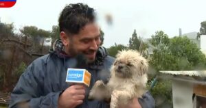 Gino Costa Instagram - 🩵❤️ En tiempos tan difíciles como los que se viven hoy 🌧️ ☔️ no puedo dejar de lado momentos como éste. 
Este pequeñín me acompañó en todo el reporteo, me guió al aire y en comerciales me regaloneó. 
Cuídenlos siempre, más aún ahora 🩵