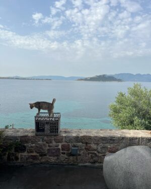 Giorgos Kapoutzidis Instagram - Ας είναι μια όμορφη μέρα! #aegina #saronic #greece