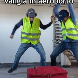 Giovanni Scifoni Instagram - Il video contiene immagini che potrebbero turbare. Un reportage coraggioso che finalmente denuncia l'efferata crudeltà del personale aeroportuale su creature innocenti e inermi. Rimane senza risposta la nostra domanda: perchè?
@tommasoscif 
@cecia.scifo