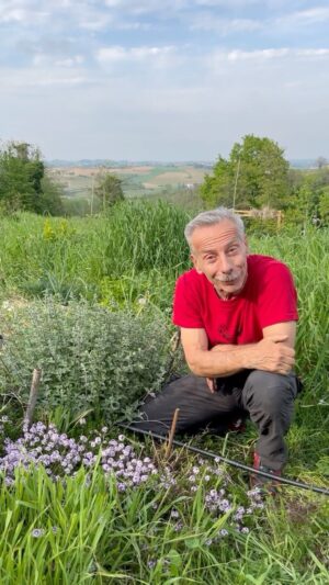 Giovanni Storti Instagram - L’origano è molto utile e non solo sulla pizza! 🍕🌿♥️

##giovalovesnaturearoundtheworld #giovasolutions #giovacuriositàeconsigli #lapotenzadellanatura #piante #primavera #natura #amantidellanatura #profumodell’origano #polliceverde #origano🍃
