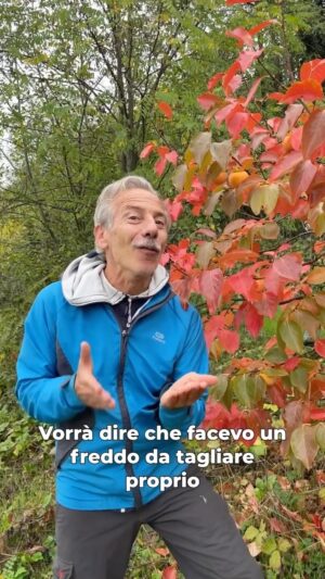 Giovanni Storti Instagram - Tecnologie avanzate al servizio di contadini particolari… 🍂🤣

#giovalovesnature #giovalovesnaturearoundtheworld #giova #giovasolutions #giovacuriositàeconsigli #cachi #nature #naturelovers #beautifulnature
