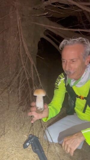 Giovanni Storti Instagram - Un Boletus edulis in tutto il suo splendore!🍄

#giova #giovalovesnature #giovalovesnaturearoundtheworld #boletusedulis #funghi #porcini #naturalità #amantidellanatura