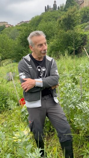 Giovanni Storti Instagram - Attenzione a non soffrire di favismo🤣🤣
Le fave: un prodotto eccezionale!🫘

#giovalovesnature #giovalovesnaturearoundtheworld #giovasolutions #nature #naturelovers #beautifulnature 
#giovasolutions  #giovacuriositàeconsigli #fotosintesivlorofilliana #piante #lefave #fave #favismo #legumi