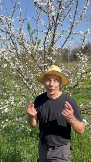 Giovanni Storti Instagram - E anche questa primavera grandi soddisfazioni 🍀🪴🌱

#natura#giovannistorti#primavera
