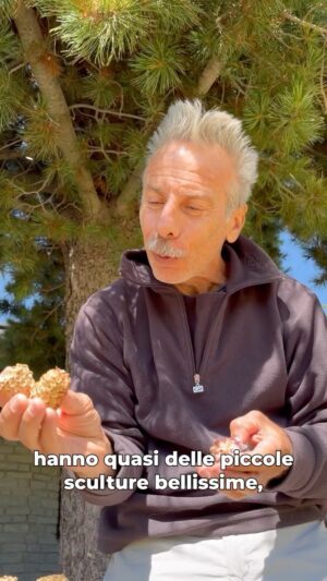 Giovanni Storti Instagram - Ma voi lo sapevate che gli scoiattoli fanno delle bellissime sculture? 🐿✨

#pinocembro #pignedelpinocembro #giovalovesnature #giovalovesnaturearoundtheworld #giovannistorti #giova #naturalità #natura #piante #pigne #scoiattoli
