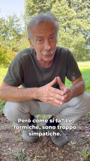 Giovanni Storti Instagram - Ma quanto sono simpatiche le formiche? 🐜♥️

#giova #giovalovesnature #giovalovesnaturearoundtheworld #natura #formiche #bellezzadellanatura #naturalità #formica