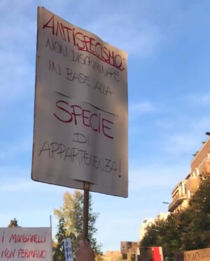 Giulia Ottonello Instagram - In questi giorni si scopre dell’ennesimo femminicidio, guerre terrificanti nel mondo, e molto molto altro. Un momento storico che vive appeso ad un filo. La violenza in qualsiasi modo decida di presentarsi, anche travestendosi, è sempre tremenda, è inaccettabile. Che alle soglie del 2024 questo sia lo scenario apocalittico che ci riguarda, si perché ci riguarda tutti, mi devasta. Ed è da anni che in questi momenti di grande sconforto mi domando come l’essere umano possa iniziare davvero a rispettare il diritto alla vita e al benessere  degli animali, quando non è nemmeno in grado di farlo verso gli altri esseri umani. Ieri questa stessa riflessione l’ho sentita fare da uno degli attivisti che sono intervenuti con dichiarazioni davvero profonde ed importanti durante la manifestazione pacifica che si è svolta a Roma. Quando ho sentito questa riflessione detta ad alta voce da un’altra persona che parlava ad un fiume in piena formato da migliaia di cuori liberi che pensano lo stesso, ho capito davvero che in moltissimi sono in questa resistenza contro la normalizzazione della violenza e della morte. Avere una visione antispecista potrebbe aiutare, di generazione in generazione, l’affermazione di gentilezza, rispetto e amore…valori che non sembrano per niente di moda ora. Per quanto possa sembrare utopistico, non sono l’unica persona a pensarlo e questo mi riempie di speranza e resilienza. 
#CuoriLiberi
#giulemanidaisantuari 
#bekind 
#GoVegan
@retedeisantuari_official 
@progettocuoriliberi_odv 
@capraliberatutti 
@rifugio_hope 
@animaliberaction 
…e tutti quanti gli altri rifugi 
@lav_italia 
@animalequalityitalia 
@essereanimali 
@giuliainnocenz 
@vitadacani__official 
Grazie a tutti voi che ogni giorno siete in prima linea, coltivando un passo alla volta la nascita di un cambiamento 🙏