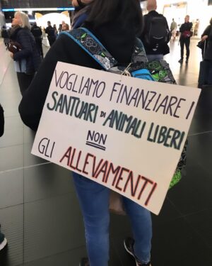 Giulia Ottonello Instagram - In questi giorni si scopre dell’ennesimo femminicidio, guerre terrificanti nel mondo, e molto molto altro. Un momento storico che vive appeso ad un filo. La violenza in qualsiasi modo decida di presentarsi, anche travestendosi, è sempre tremenda, è inaccettabile. Che alle soglie del 2024 questo sia lo scenario apocalittico che ci riguarda, si perché ci riguarda tutti, mi devasta. Ed è da anni che in questi momenti di grande sconforto mi domando come l’essere umano possa iniziare davvero a rispettare il diritto alla vita e al benessere  degli animali, quando non è nemmeno in grado di farlo verso gli altri esseri umani. Ieri questa stessa riflessione l’ho sentita fare da uno degli attivisti che sono intervenuti con dichiarazioni davvero profonde ed importanti durante la manifestazione pacifica che si è svolta a Roma. Quando ho sentito questa riflessione detta ad alta voce da un’altra persona che parlava ad un fiume in piena formato da migliaia di cuori liberi che pensano lo stesso, ho capito davvero che in moltissimi sono in questa resistenza contro la normalizzazione della violenza e della morte. Avere una visione antispecista potrebbe aiutare, di generazione in generazione, l’affermazione di gentilezza, rispetto e amore…valori che non sembrano per niente di moda ora. Per quanto possa sembrare utopistico, non sono l’unica persona a pensarlo e questo mi riempie di speranza e resilienza. 
#CuoriLiberi
#giulemanidaisantuari 
#bekind 
#GoVegan
@retedeisantuari_official 
@progettocuoriliberi_odv 
@capraliberatutti 
@rifugio_hope 
@animaliberaction 
…e tutti quanti gli altri rifugi 
@lav_italia 
@animalequalityitalia 
@essereanimali 
@giuliainnocenz 
@vitadacani__official 
Grazie a tutti voi che ogni giorno siete in prima linea, coltivando un passo alla volta la nascita di un cambiamento 🙏
