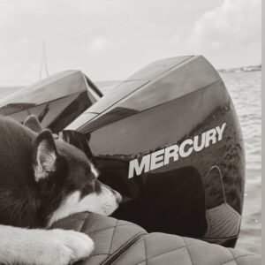 Giulio Berruti Instagram - Bagheera first day