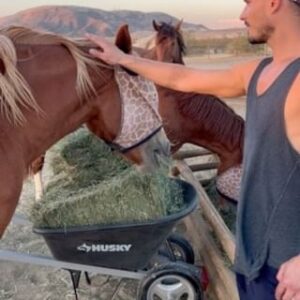Gleb Savchenko Instagram - Desert was calling. Following my heart and inner child intuition to connect with Mother Nature. Being present now is the key. 

#joshuatree #horsesanctuary #mustangsanctuary #horseriders #babyhorses