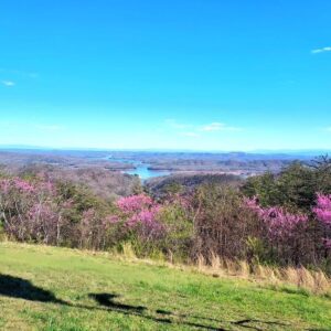 Glenn Jacobs Instagram - The breathtaking view from the Veterans Overlook on Highway 25E in Grainger County.