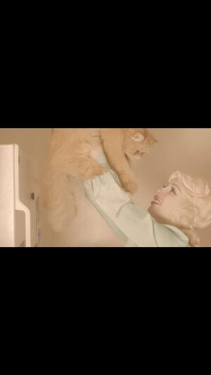 Glüme Harlow Instagram - Until I find a place where me and things go together 🐱