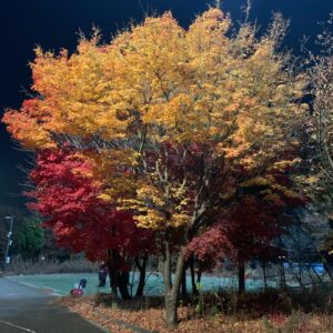 Go Kyung-pyo Instagram - 가울..🍁🍂🥶