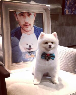 Godfrey Gao Instagram - In the spirit of #InternationalDogDay here is my tuff dawg @badboytheodore 🤣 🐾 #nationaldogday