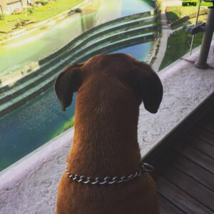 Gökhan Horzum Instagram - Gündüz Bekçisi