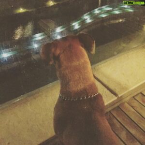 Gökhan Horzum Instagram - Gece bekçisi