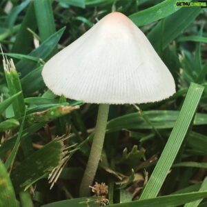 Gökhan Horzum Instagram - 