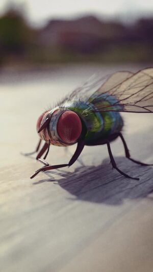 Goro Fujita Instagram - Fly - Daily Quillustration built and animated in VR using Quill, rendered in Maya/Redshift, comped in Premiere.