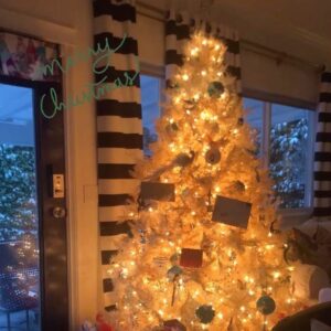 Gracyn Shinyei Instagram - I hope every had a great holiday season🤍