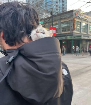 Gracyn Shinyei Instagram - December dump!

Hope everyone is having a great holiday season!💗☃️🏂🏔️

.

.

.

.
#holidays #family #tistheseason #snow #kitten #vancouver