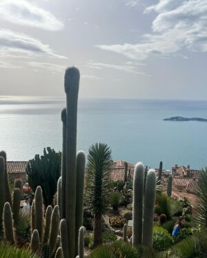 Graham McTavish Instagram - Nice never disappoints. Thankyou for the great food, hospitality, cacti and precious memories. As a Capricorn I couldn’t resist the golden goat!! @garancedore @hotelchateaueza #fabulousnice #goattastic #cactuslover #jardinexotique