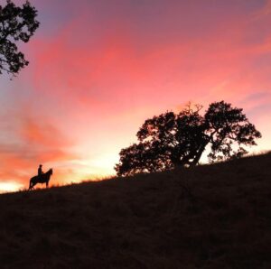 Graham Phillips Instagram - sunset trail ride. photo cred: mom