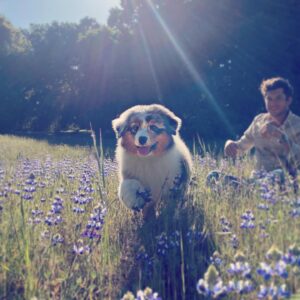 Graham Phillips Instagram - Our new girl, Blue.