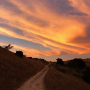 Graham Phillips Instagram - sunset trail ride. photo cred: mom