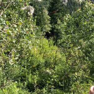 Graham Rogers Instagram - Here are some saturated pictures of Wyoming.