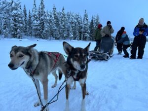 Grant Feely Instagram - Last big adventure of the trip! Today for our final adventure we went dogs sledding at @bearhillhusky !