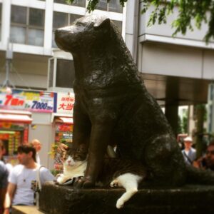 Grant Imahara Instagram - Hachiko watches over his super chill kitty companion at Shibuya Station.