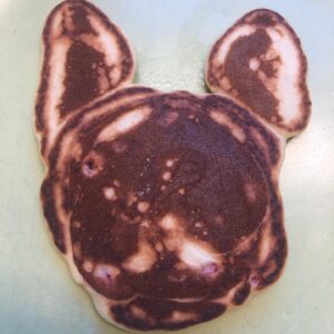 Grant Show Instagram - This morning’s portrait of @lizgillz dog Otis in pancake.  Swipe for the original. #iwastryingtomakeabunnyformydaughter #quarantinelife