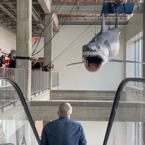 Greg Nicotero Instagram - @academymuseum Very proud to see our restoration of the last original casting of the shark from Jaws taking its place in the soon to be open Motion Picture Academy Museum.  Truly a once in a lifetime opportunity for me and I couldn’t be more proud to know that for years to come people will be able to marvel at this amazing creation and pay tribute to every technician that worked on the film.  Huge thanks to every at KNB for their dedication to this project and Steven, Joe Alves and Roy Arbogast.  #jaws #academymuseum @amblin