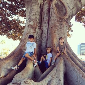 Greg Vaughan Instagram - My 3 little tree climbers LA 😎 #landanvaughan #cavanvaughan #jathanvaughan