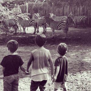 Greg Vaughan Instagram - I know this is not the ideal pet most people have.....but it came with the property!! #jathanvaughan #cavanvaughan #alonsomateo #safari #mexico