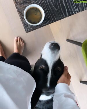 Gregor Schlierenzauer Instagram - #Weekend #vibes ☕️🐕☀️