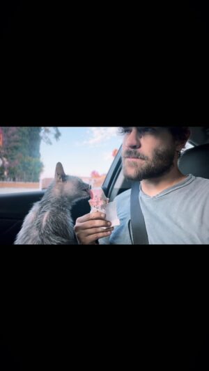 Grey Damon Instagram - 