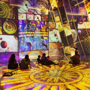 Griffin McElroy Instagram - I am the world’s biggest sucker for immersive art.