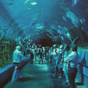 Griffin McElroy Instagram - I feel like if an aquarium doesn't have one of these tunnels it doesn't count as an aquarium