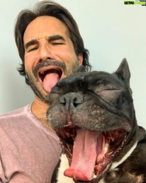 Guido Massri Instagram - Pre-pandemic (1) - Post-pandemic (2) 

🦠🤮

#la #dog #frenchbulldog #pandemia