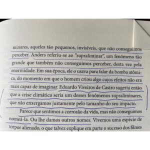 Guilherme Weber Instagram - O título parece espetáculo dos anos 90 do Grupo Corpo. Banzeiro é como o povo do Xingu chama o território de brabeza do Rio.
Se aqui não há a concretude elegante de estilo literário que fez do seu livro anterior, “Brasil, Construtor de Ruínas” uma obra prima de denúncia e rigor esplendor narrativo, é porque uma espécie de delírio inevitável contorna os temas. Mistura de reportagem denúncia e diário de experiência, Eliane conta sua experiência de mudança para Altamira, os bastidores de reportagens com a população riberinha, apresenta riquíssimos pensadores, acompanha trajetória de tartarugas, nomina sem medo inimigos do meio ambiente. Tudo junto ao mesmo tempo agora. Na página 63 crava, “sou uma escritora que escreve como leitora.” Da complexidade desta frase nasce uma espécie de guia para o leitor. 
“É preciso viver com terror e alegria” ela lembra Donna Haraway e assim apresenta suas impressões sobre esta jornada monumental que eh sair de São Paulo para se tornar habitante da Amazônia. Lembro coluna da psicanalista Vera Iaconelli “Não dá para ser brasileiro sem ter sido atravessado pela exuberância natural dessa terra que foi invadida para fins extrativistas e que só por acidente tornou-se país.”
Nas palavras manifesto de Eliane, esta experiência compartilhada nos coloca no terror, na indignação e também na esperança, palavra que ela mesmo refuta, mas que em algum lugar ainda sobra como energia.
Das associações que todo leitor contínuo e ansioso faz, me veio o brilhante micro conto do conterrâneo @lhpellanda Luís Henrique Pellanda: “O patriota entra na floresta e faz uma descoberta. Dentro da mata, seu país não existe.”
#elianebrum #companhiadasletras