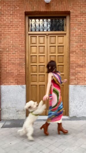 Guiomar Puerta Instagram - Buscando a Kate. ⊹₊♚₊⊹