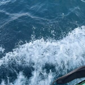Gunn Svasti Instagram - Bangkok 🚘 ⛴️ Koh Tao 🏝️ 
🤿 🐟 ☀️ 🌧️ 🌊