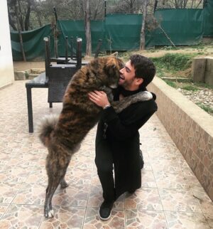 Gürbey İleri Instagram - Samimiyeti ilerlettik 🖐🏻