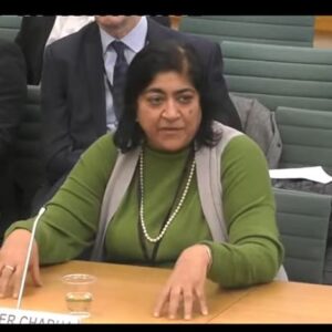 Gurinder Chadha Instagram - So glad I was able to help increase the UK tax credit for independent British film makers by doing my bit.  This Changes everything! Thank you @rishisunakmp @bfi @benroberts https://youtu.be/fEzBl4zF5jo?list=PLj3mInRJqIelj02Ad5a0Ri53LqeSxbzdk #britishfilm @screendaily @variety @deadline