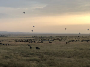 Gursimran Khamba Instagram - Ballooning over the Masai Mara to see the AMAZING wildebeest migration ✅✅✅ #kenya #bucketlistthings
